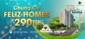 feliz homes 290